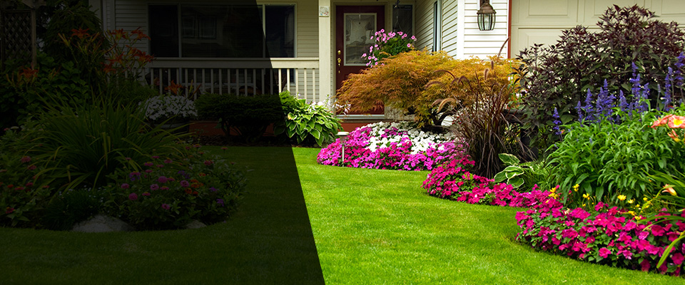 Memphis Landscapers