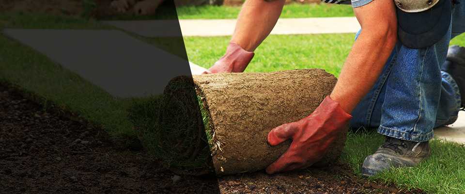 Memphis Landscapers